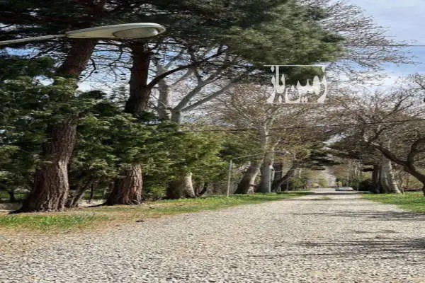 فروش زمین باغی ۶۰۰ متر داخل شهرک سند ۶ دانگ - تصویر 3