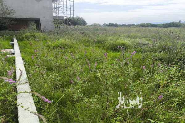 فروش زمین شهرکی در نوده رویان ویو جنگل ۵۲۰ متر-1