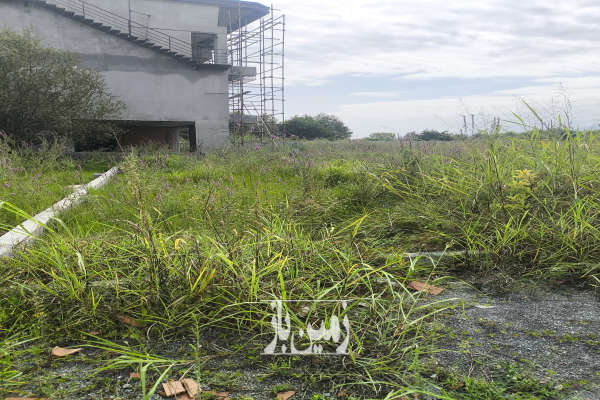 فروش زمین شهرکی در نوده رویان ویو جنگل ۵۲۰ متر-2