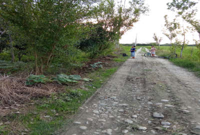 فروش زمین باغی جاده حبیبی روستای اطاقسرا ۸۰۰ متر