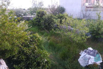 فروش ۲۳۰ متر زمین مسکونی سند تکبرگ شهرکی