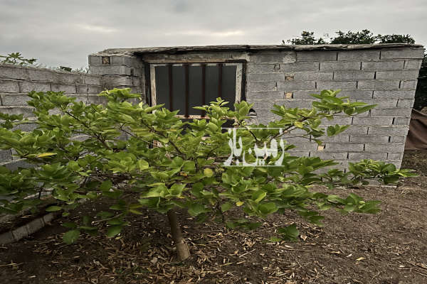 فروش زمین مسکونی کمربندی غربی شرف آباد ۲۷۵ متر-2