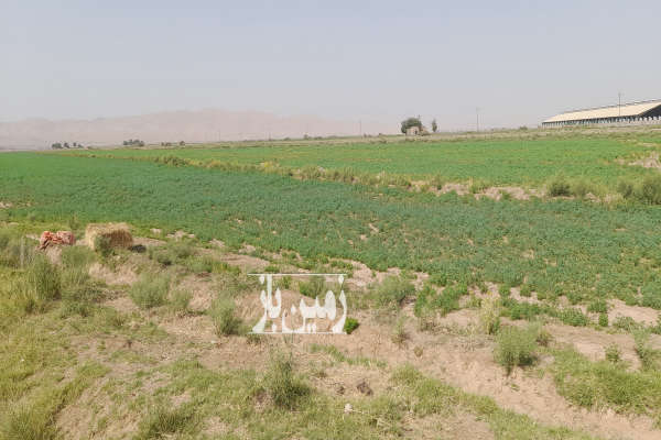 فروش زمین ایوانکی جنب شهرک صنعتی جنت آباد ۵۳۷۰۷ متر-2