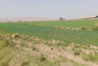 فروش زمین ایوانکی جنب شهرک صنعتی جنت آباد ۵۳۷۰۷ متر