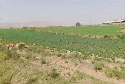 فروش زمین ایوانکی جنب شهرک صنعتی جنت آباد ۵۳۷۰۷ متر