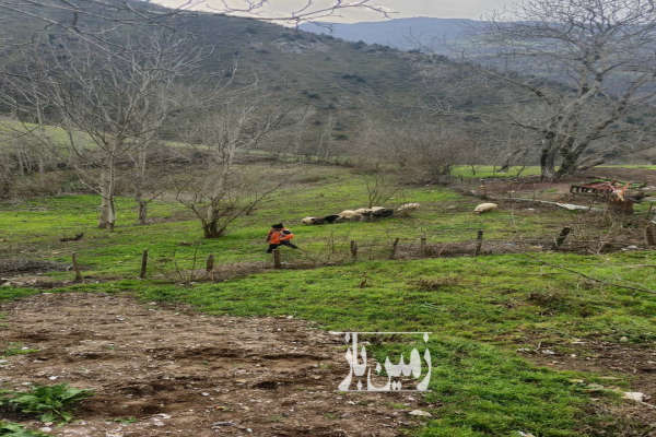 فروش زمین مسکونی در روستای دفراز ۵٠٠ متر-4