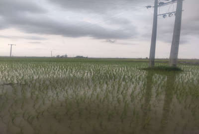 فروش زمین کشاورزی گرگان روستای تخشی محله ۵۰۰۰۰ متر