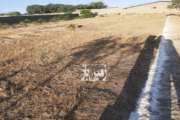فروش زمین مسکونی در نوبران روستای کردخورد ۶۰۰ متر-2