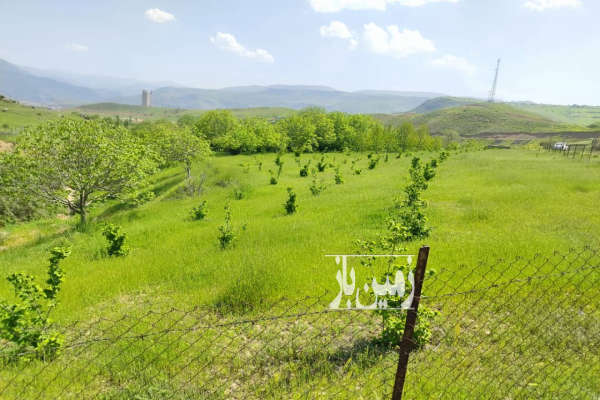 فروش باغ با درختان قدیمی ۲۴ هزار متر دیلمان-3