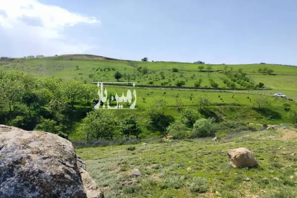 فروش باغ با درختان قدیمی ۲۴ هزار متر دیلمان - تصویر 4