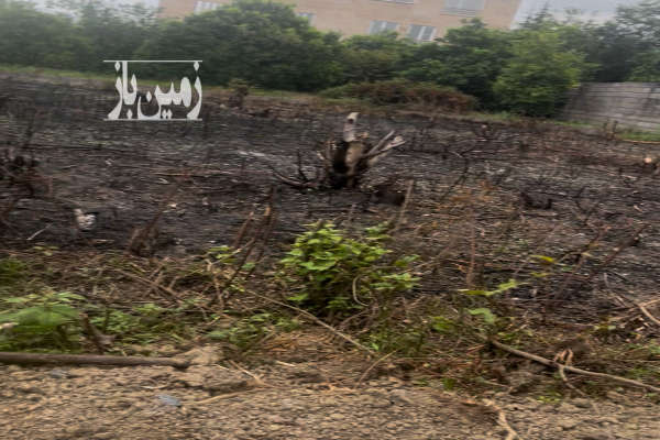 فروش زمین بافت مسکونی نشتارود روستای کمیلیه ۲۵۰ متر-1