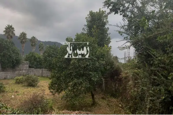 فروش زمین بافت مسکونی نشتارود روستای کمیلیه ۲۵۰ متر - تصویر 2