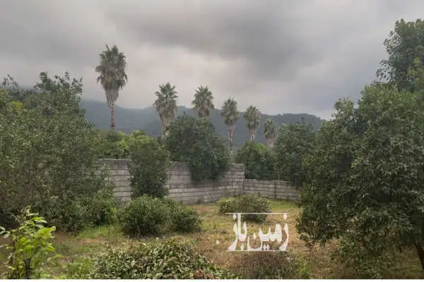فروش زمین بافت مسکونی نشتارود روستای کمیلیه ۲۵۰ متر - تصویر 3