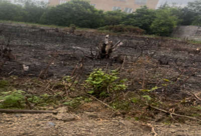 فروش زمین بافت مسکونی نشتارود روستای کمیلیه ۲۵۰ متر