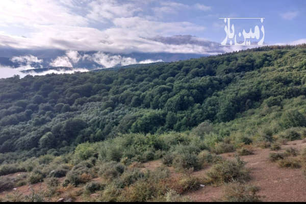 فروش زمین مسکونی ۵۰۰ متری روستای زیبای ورپی-1