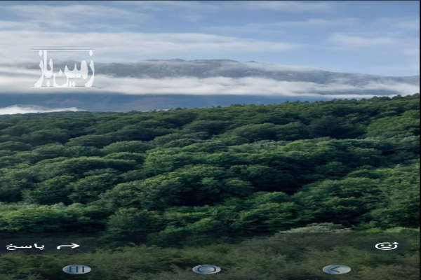 فروش زمین مسکونی ۵۰۰ متری روستای زیبای ورپی-2