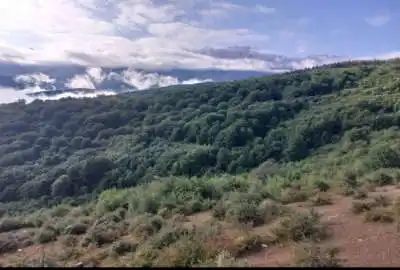 فروش زمین مسکونی ۵۰۰ متری روستای زیبای ورپی
