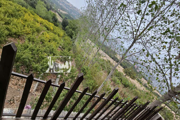 فروش باغ شلیل ۲۰۰۰ متری در دارابکلا ساری-2