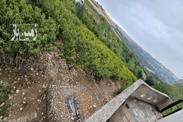 فروش باغ شلیل ۲۰۰۰ متری در دارابکلا ساری-3