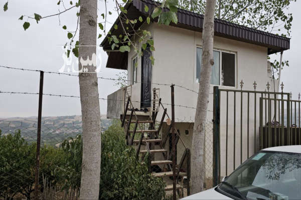 فروش باغ شلیل ۲۰۰۰ متری در دارابکلا ساری-4