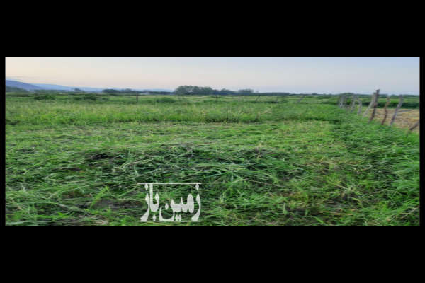فروش زمینِ مزروعی خشک شده بر خیابون اصلی ۴۷۰ متر-2