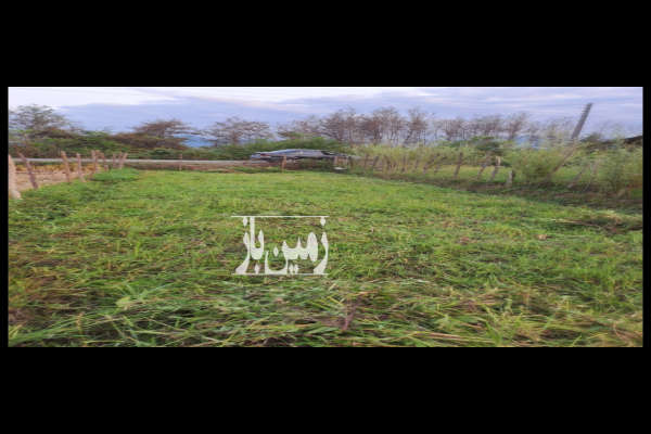 فروش زمینِ مزروعی خشک شده بر خیابون اصلی ۴۷۰ متر-3