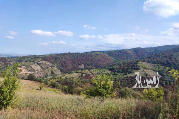 فروش زمین در بهشهر جاده کنت ۱۰۰۰ متر-3