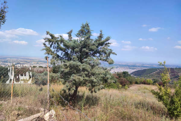 فروش زمین در بهشهر جاده کنت ۱۰۰۰ متر-4