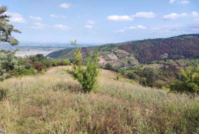 فروش زمین در بهشهر جاده کنت ۱۰۰۰ متر