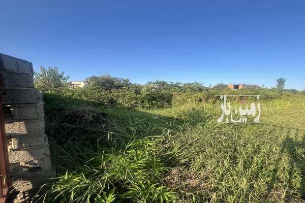 فروش زمین مسکونی ۴۰۰ متر در ساری پایین دزا-2