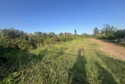 فروش زمین مسکونی ۴۰۰ متر در ساری پایین دزا