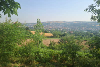 فروش باغ هلو در داربکلا با چشم انداز داربکلا یور محله