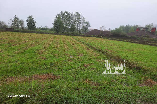 فروش زمین مسکونی ۳۰۰۰ متر ماسال میله سرا-3