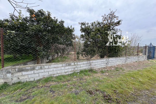 فروش ۳۰۰ متر زمین جاده شهید صالحی روستای درزیکلای نصیرایی-2