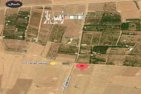 فروش زمین ۱۰۰۰ متری در روستای خانه میران-2