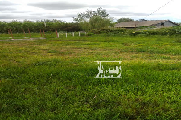 فروش زمین باغی ۳۱۶ متر روستای هنده خاله-4