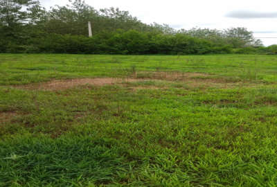 فروش زمین باغی ۳۱۶ متر روستای هنده خاله
