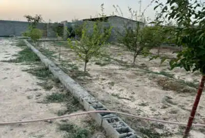 فروش زمین ویلایی ۲۲۵ متری نزدیک دریا در کرفون