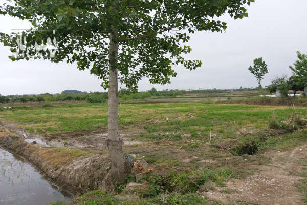 فروش زمین کشاورزی روستای سائیچ محله ۲۶۱۶ متر-1