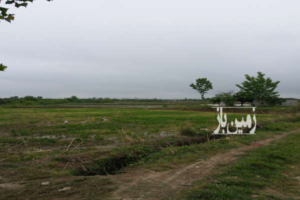 فروش زمین کشاورزی روستای سائیچ محله ۲۶۱۶ متر-3