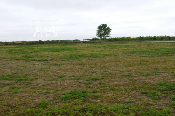 فروش زمین کشاورزی روستای سائیچ محله ۲۶۱۶ متر-4