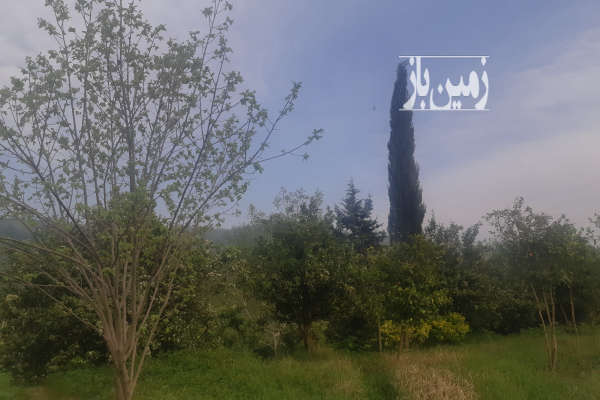 فروش زمین بخش بندپی شرقی ۲۵۰ متر-4