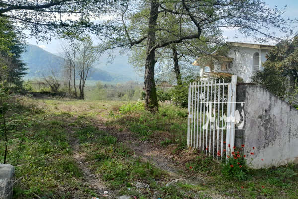 فروش زمین مسکونی سلمانشهر شهرک ترنج ۸۲۷ متر-2