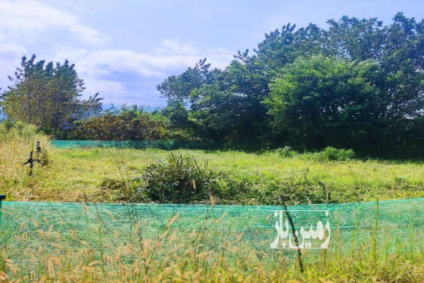 فروش زمین در چابکسر سیاهکلرود ۲۰۰ متر-2