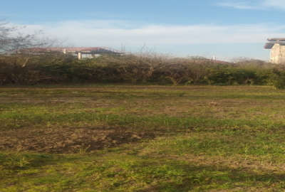 فروش زمین در چابکسر سیاهکلرود ۲۰۰ متر