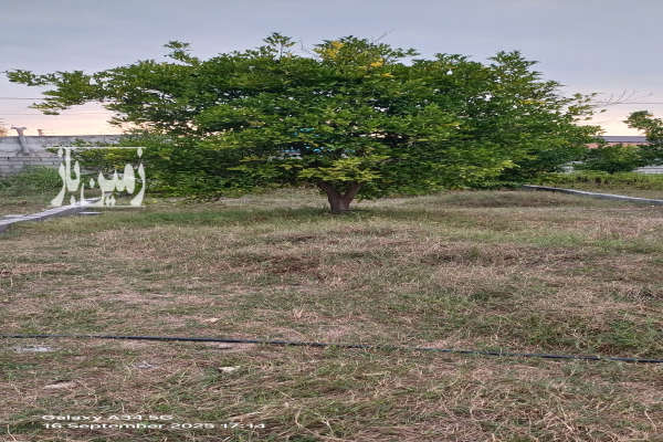 فروش زمین روستای کروا ۱۳۱ متر-2