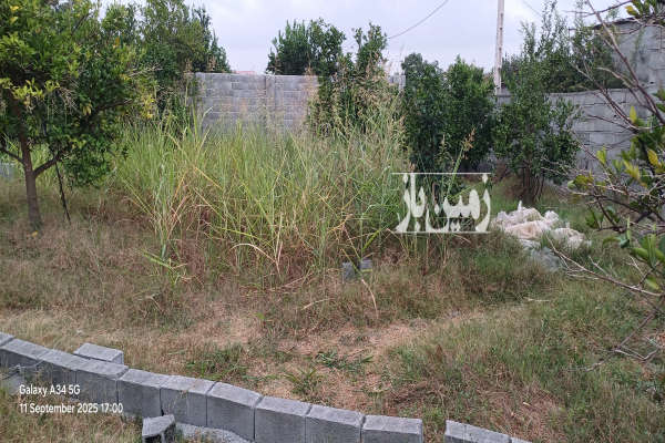 فروش زمین روستای کروا ۱۳۱ متر-3