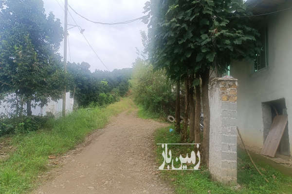 فروش زمین شالیزار سنتی و باغ سنددار در لنگرود ۲۲۳۰۰ متر-2