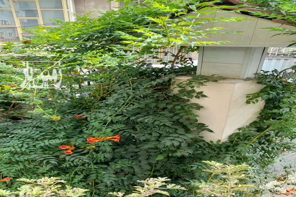 فروش زمین مسکونی قابل ساخت و ساز خیابان سیدالشهدا ۳۰۰ متر-1