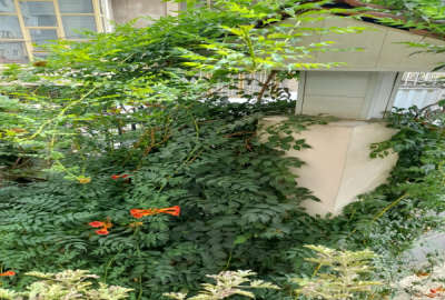 فروش زمین مسکونی قابل ساخت و ساز خیابان سیدالشهدا ۳۰۰ متر